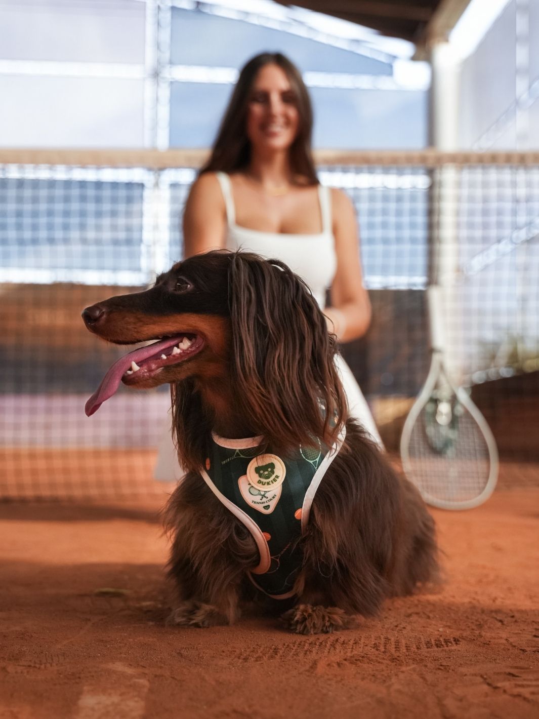 HARNAIS RÉGLABLE POUR CHIEN TENNIS COURT