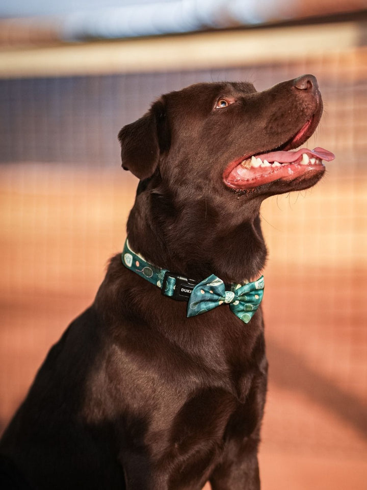 PAJARITA PARA PERRO TENNIS COURT