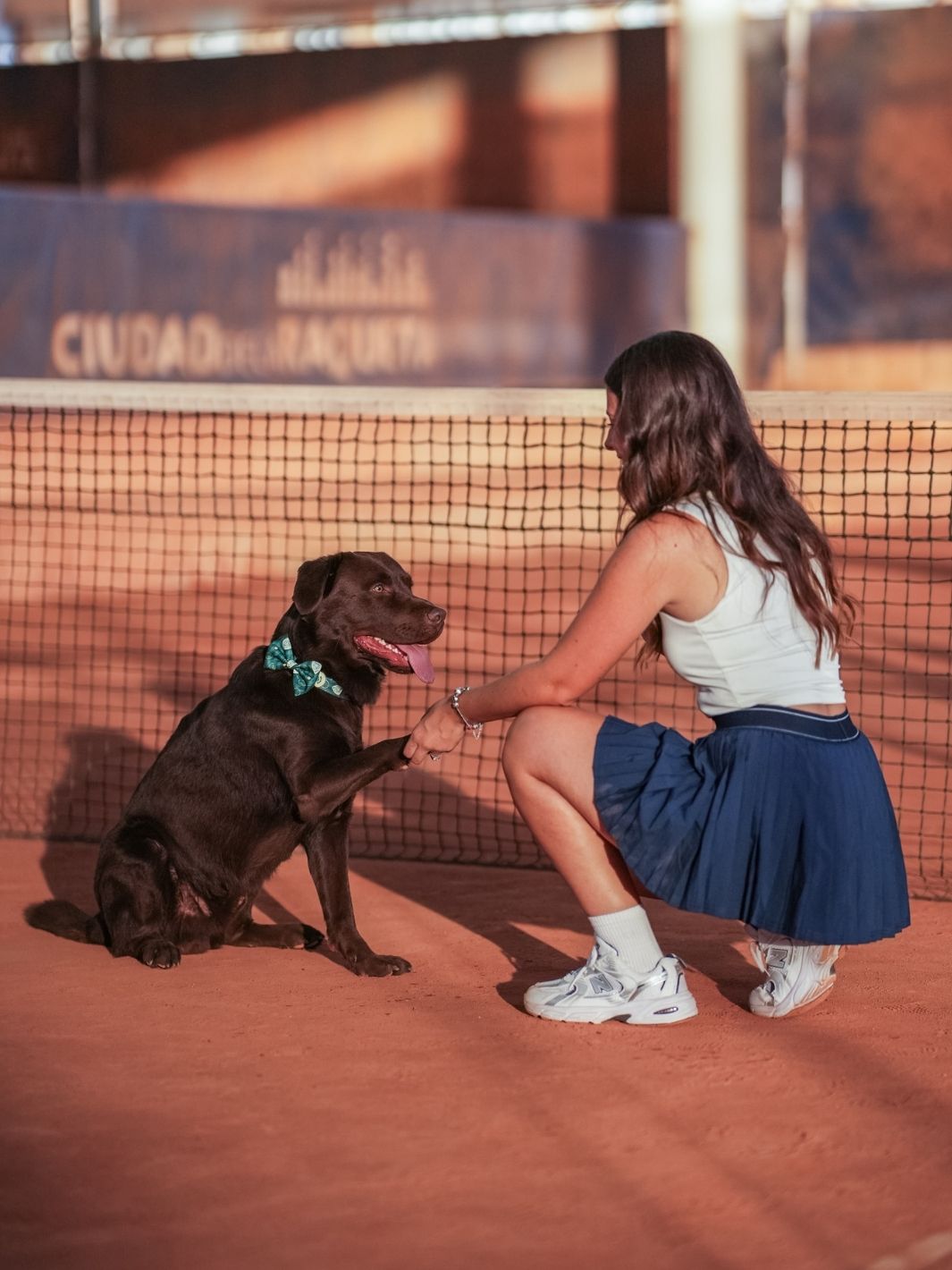 PAJARITA PARA PERRO TENNIS COURT