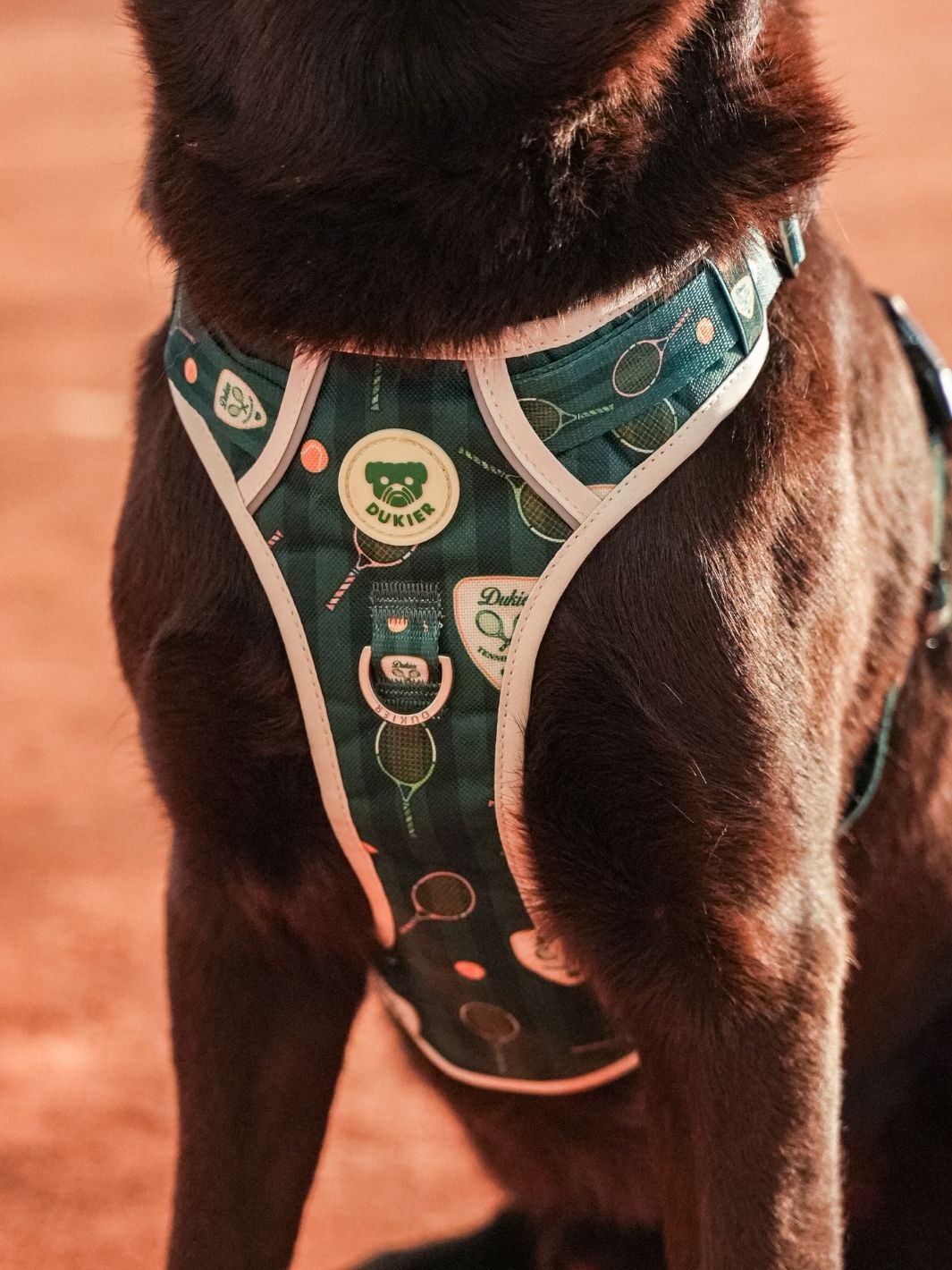 PETTORINA TRAIL PER CANE TENNIS COURT