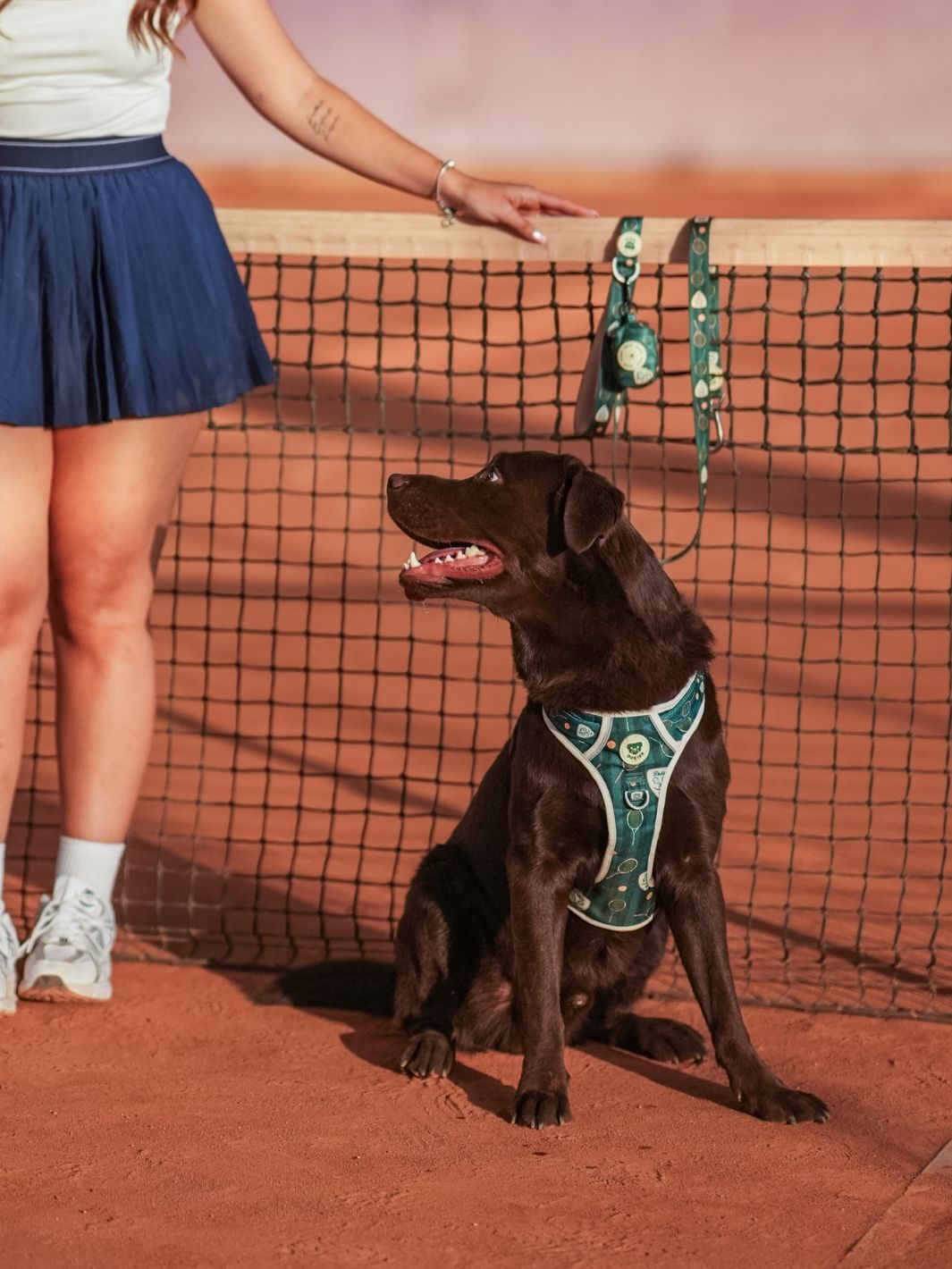 PETTORINA TRAIL PER CANE TENNIS COURT