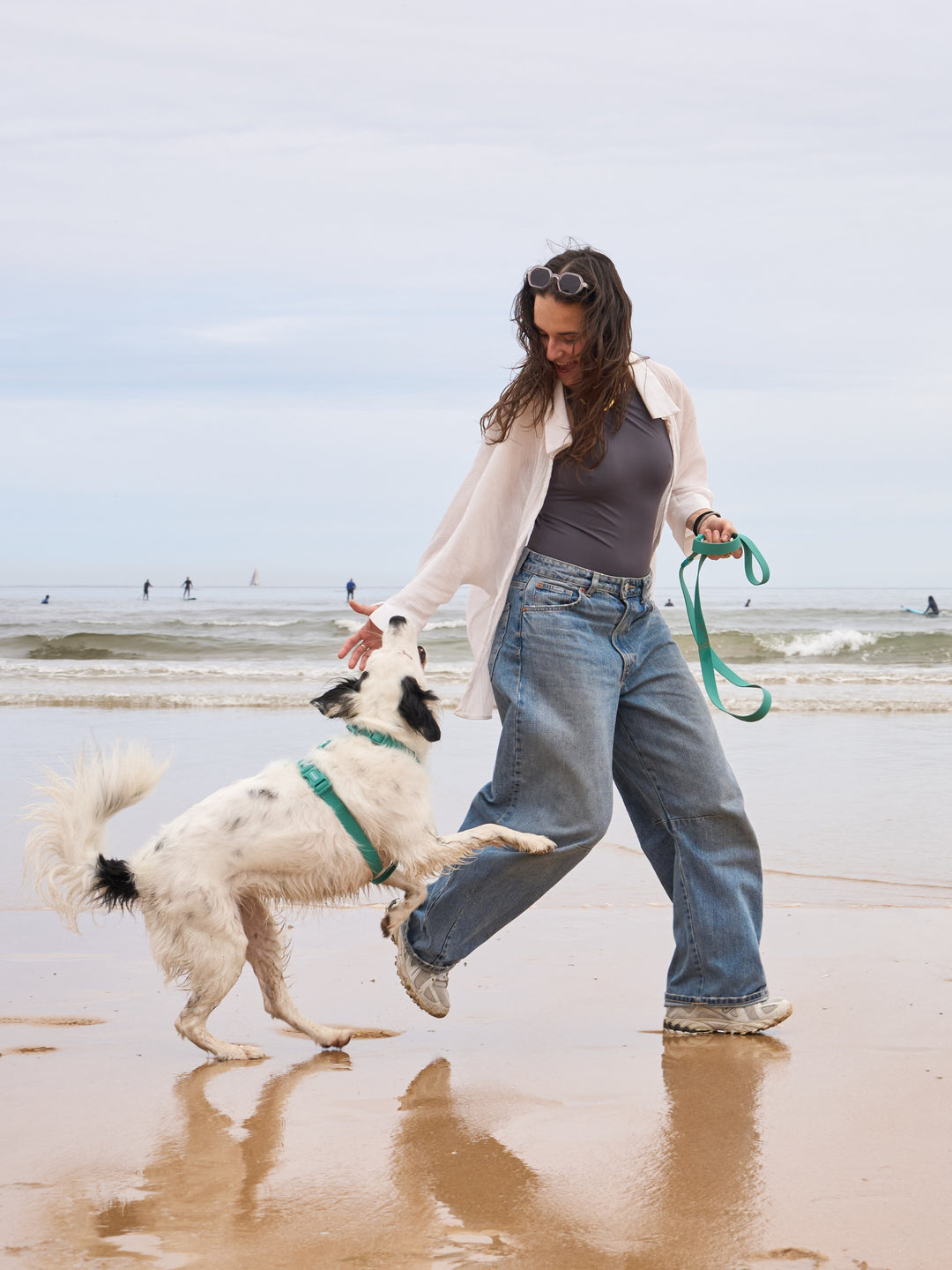 HARNAIS WATERPROOF GREEN POUR CHIEN