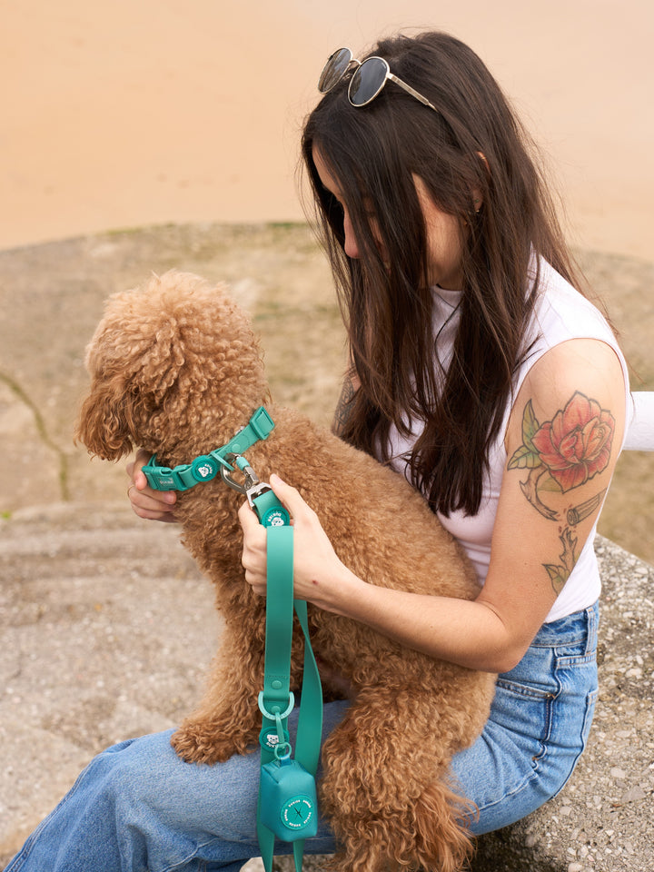 COLLARE WATERPROOF PER CANE GREEN