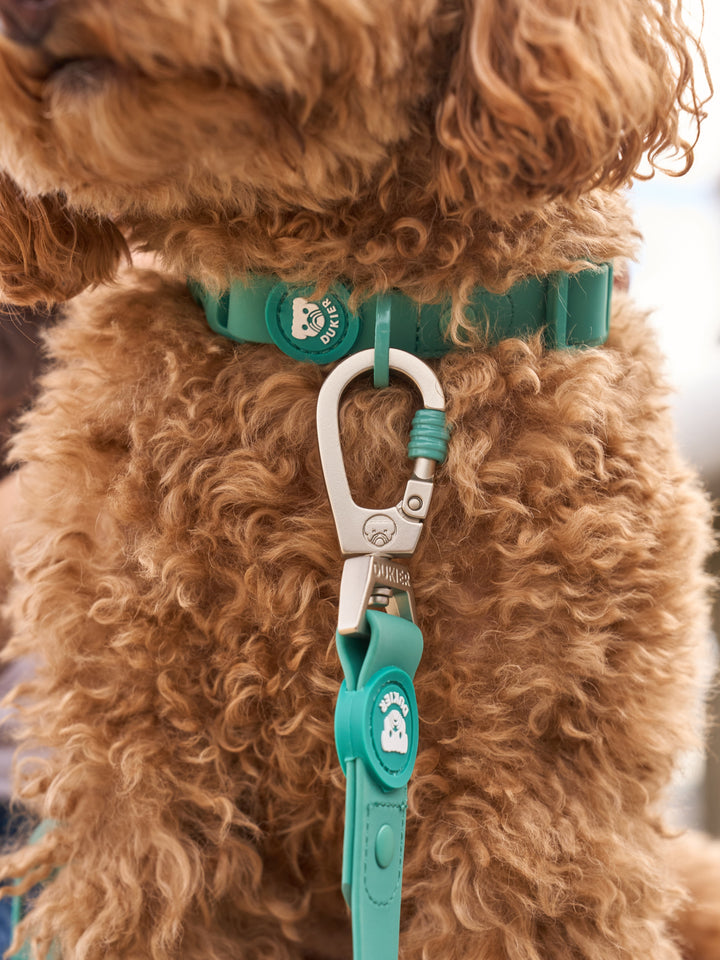 COLLARE WATERPROOF PER CANE GREEN