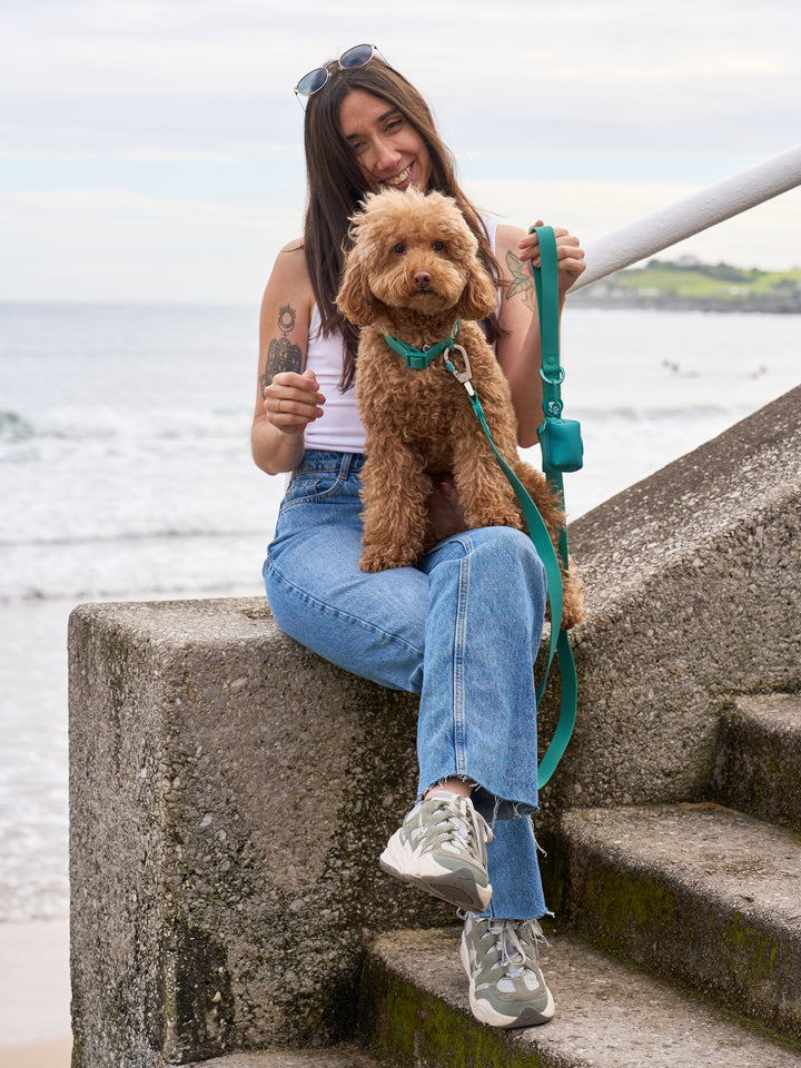 COLLARE WATERPROOF PER CANE GREEN
