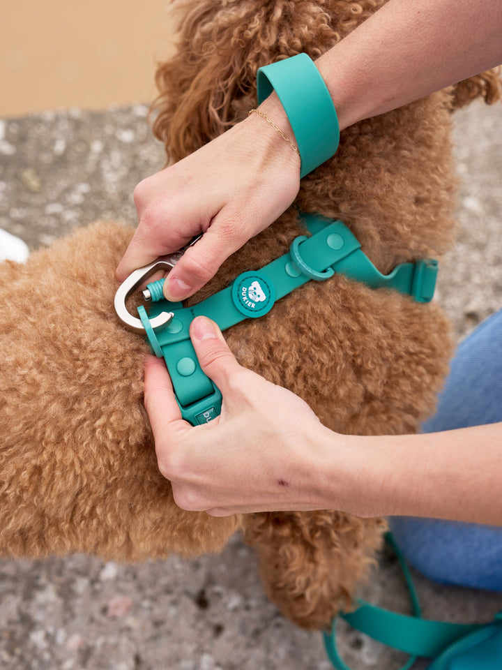 HARNAIS WATERPROOF GREEN POUR CHIEN