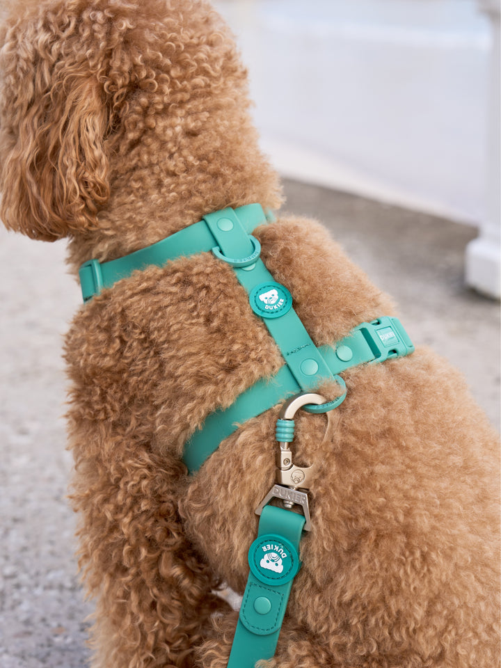 HARNAIS WATERPROOF GREEN POUR CHIEN