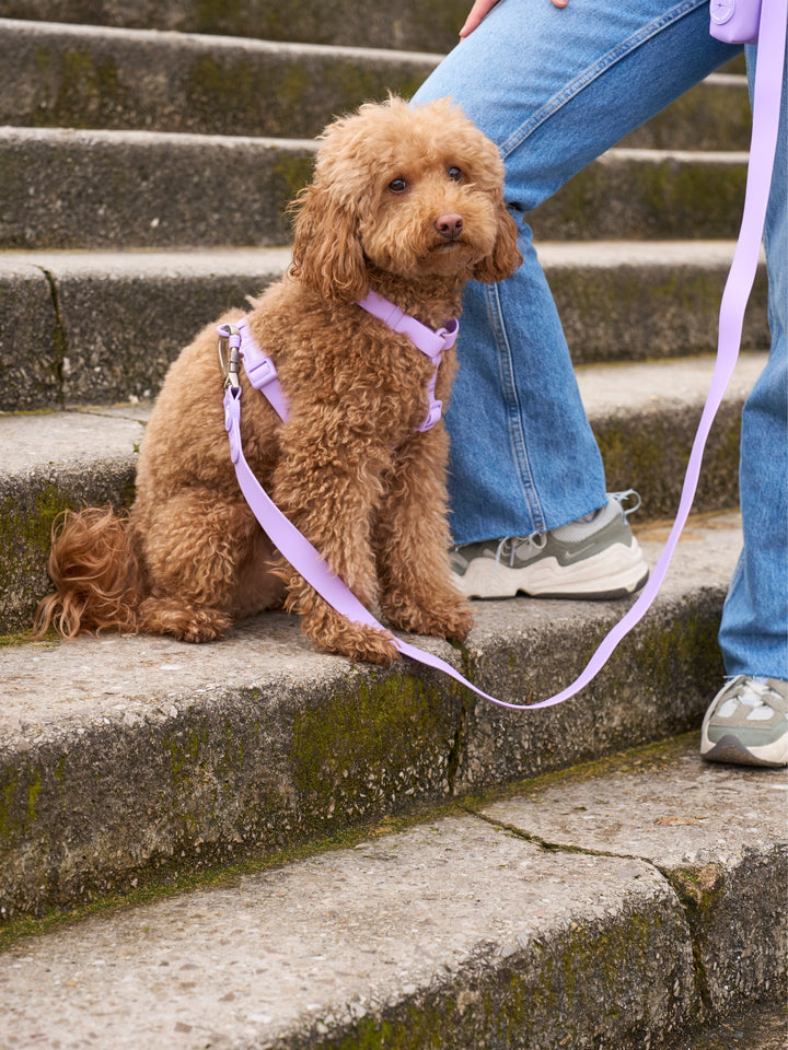 WATERPROOF DOG HARNESS CORAL