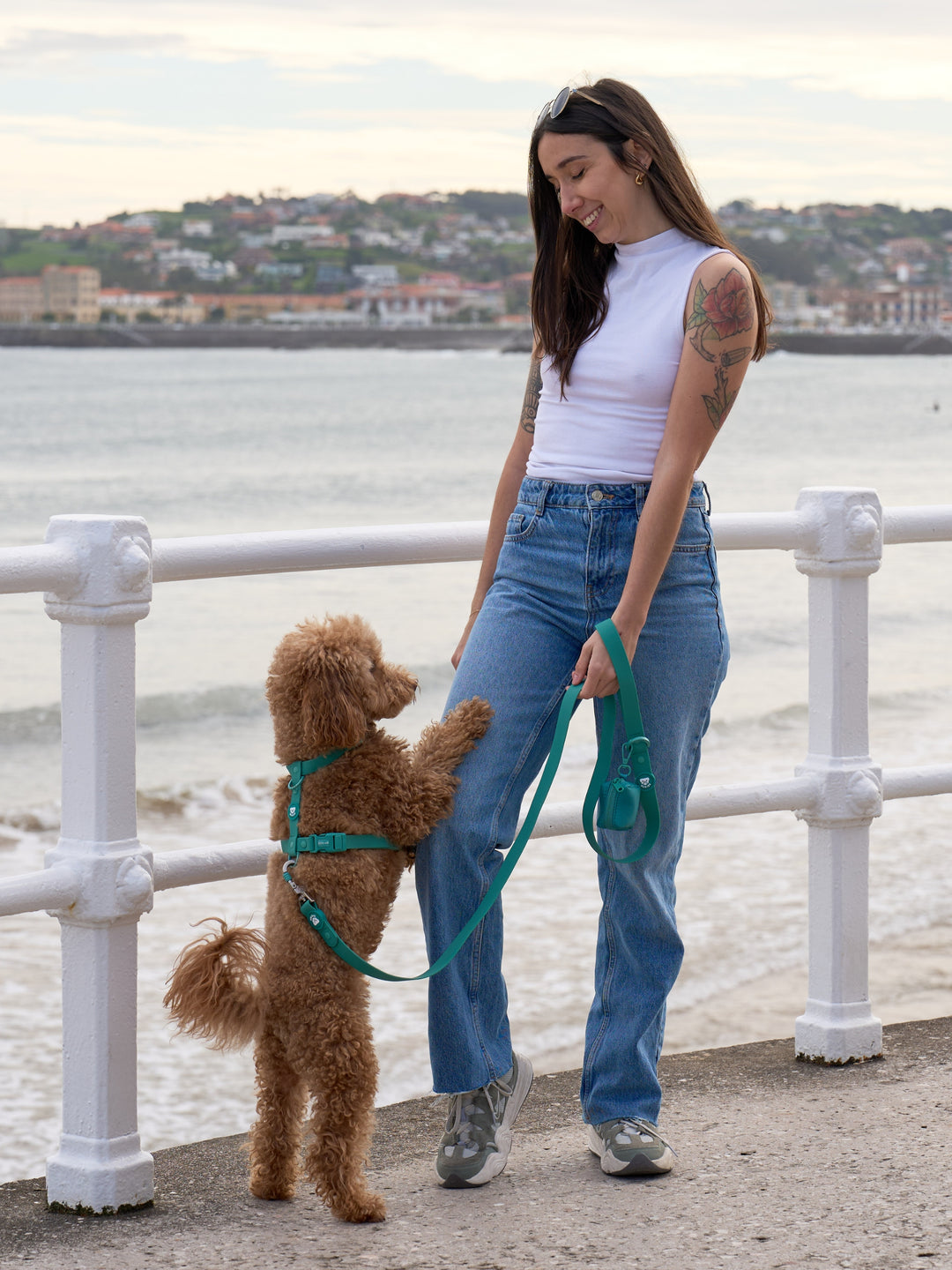 HARNAIS WATERPROOF GREEN POUR CHIEN