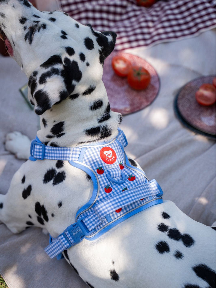 TRAIL HUNDEGESCHIRR TOMATOES