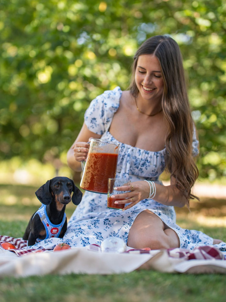 ARNÊS BODY PARA CÃES TOMATOES
