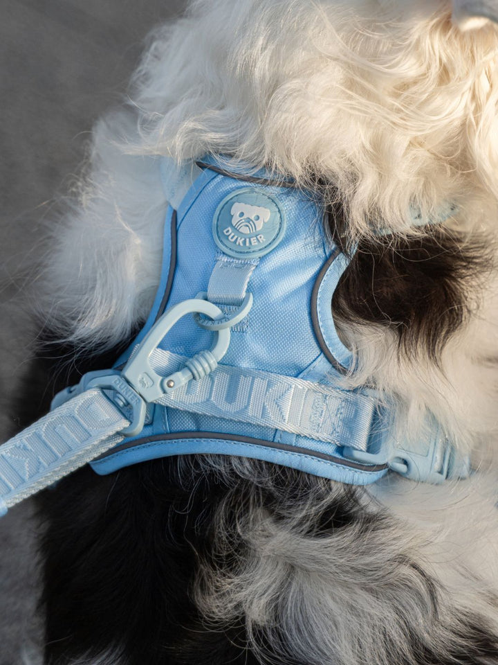 PEITORAL TRAIL PARA CÃO SOFT BLUE