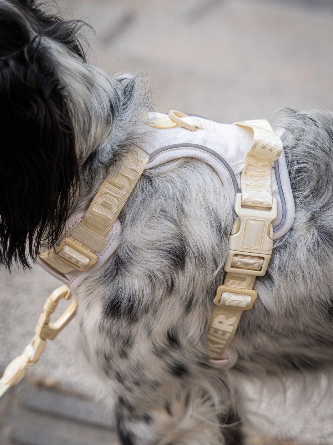PEITORAL TRAIL PARA CÃO BEIGE