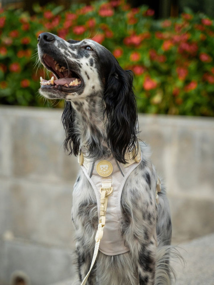 PEITORAL TRAIL PARA CÃO BEIGE