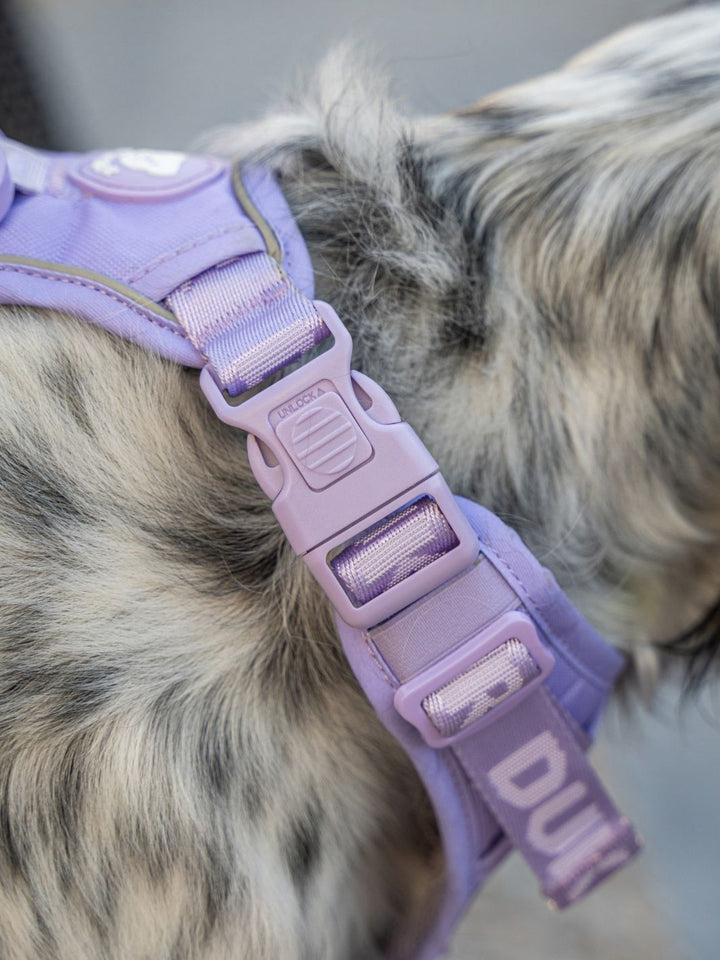 TRAIL DOG HARNESS VIOLET