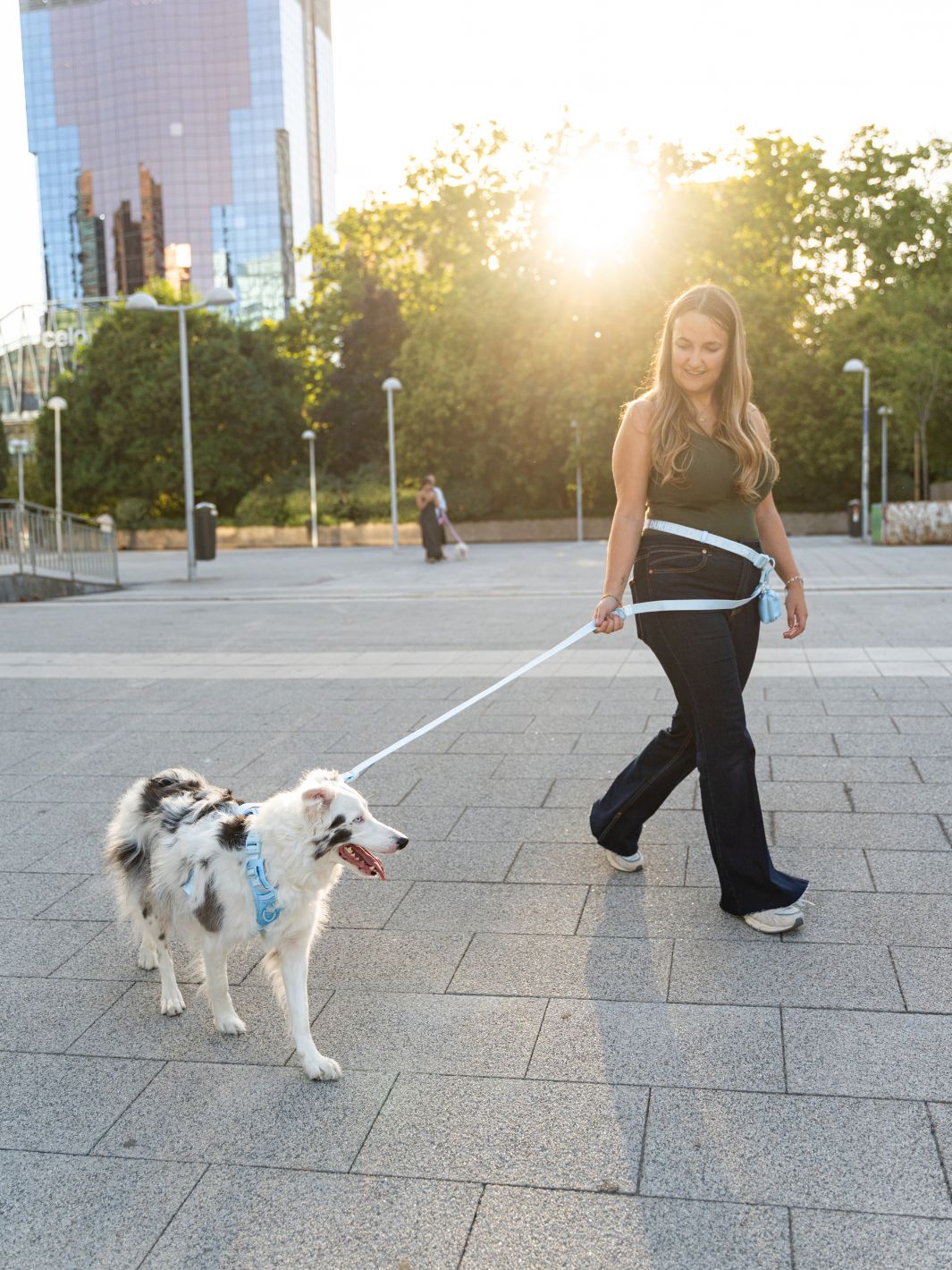 PEITORAL TRAIL PARA CÃO SOFT BLUE