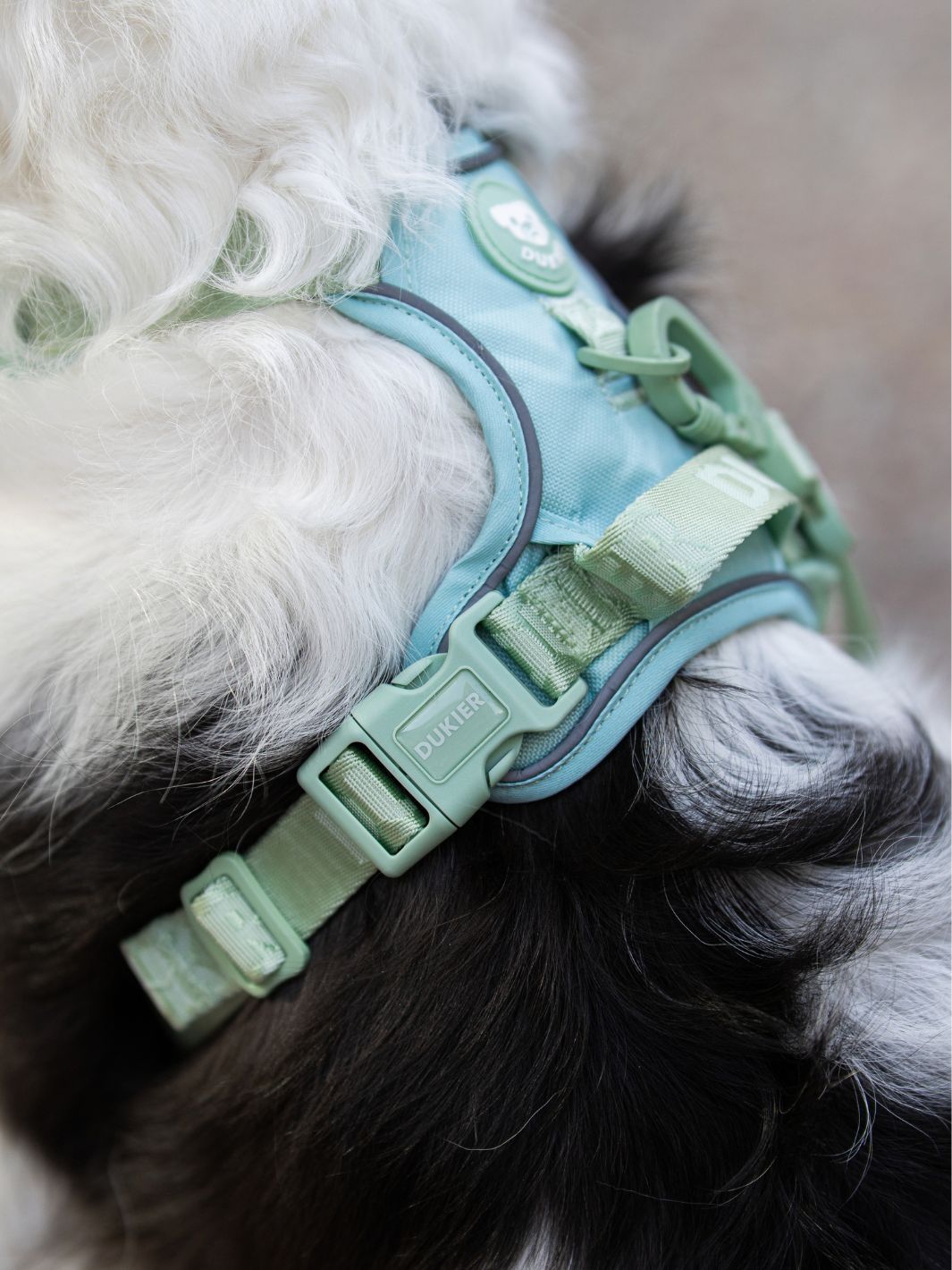 PEITORAL TRAIL PARA CÃO SOFT GREEN