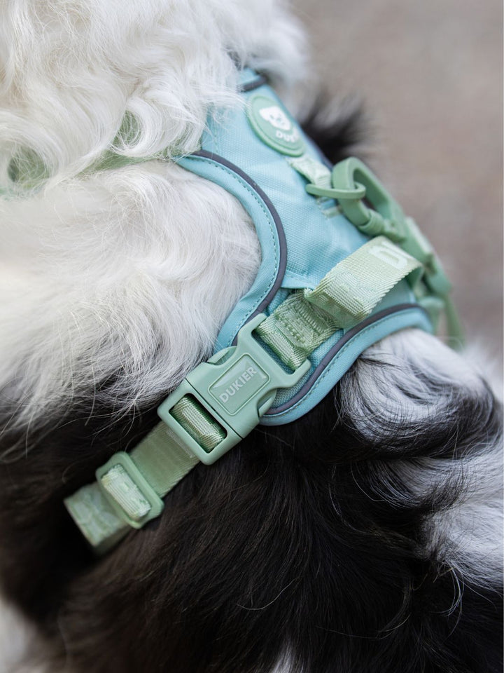 PEITORAL TRAIL PARA CÃO SOFT GREEN