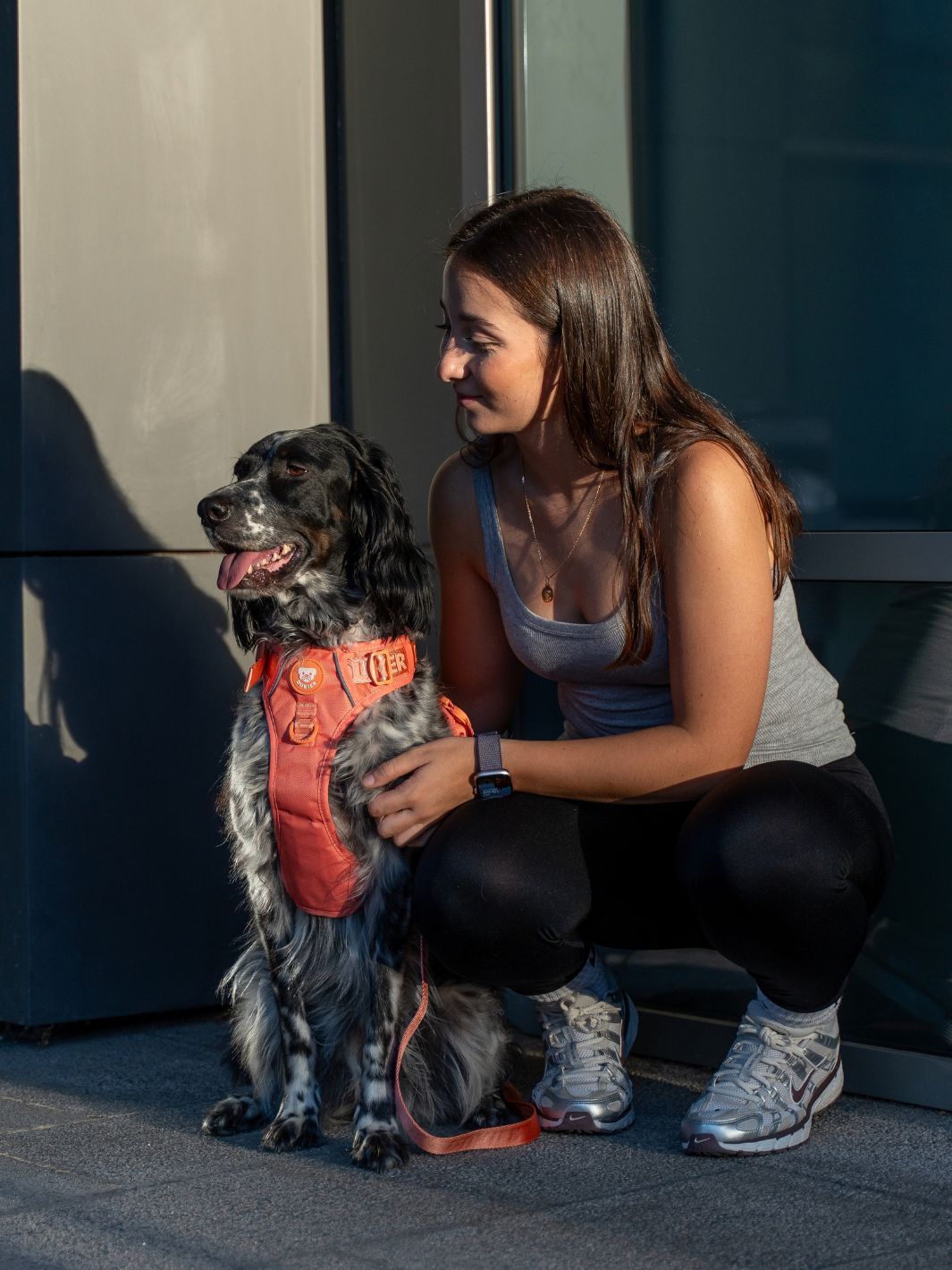 TRAIL DOG HARNESS TANGERINE