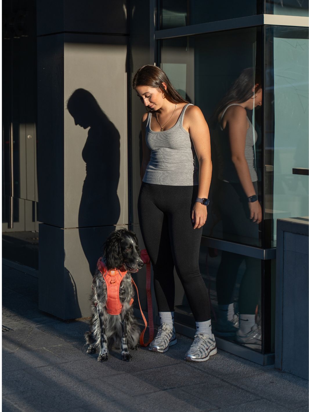TRAIL DOG HARNESS TANGERINE