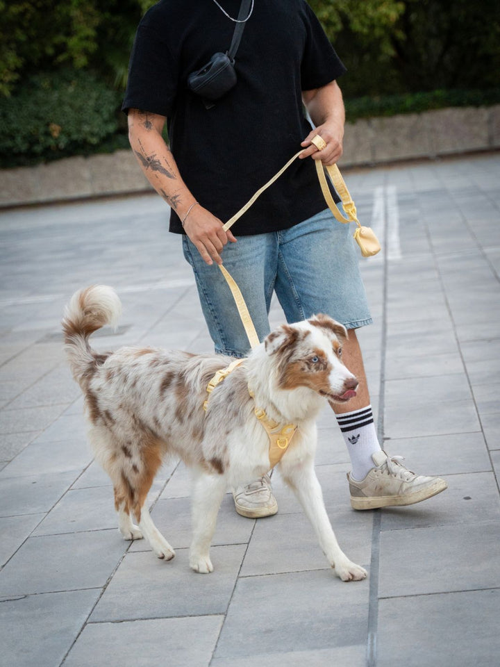 PEITORAL TRAIL PARA CÃO VANILLA
