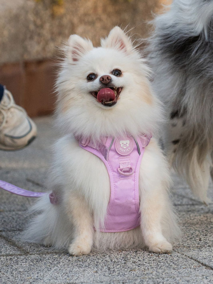 PEITORAL TRAIL PARA CÃO STRAWBERRY