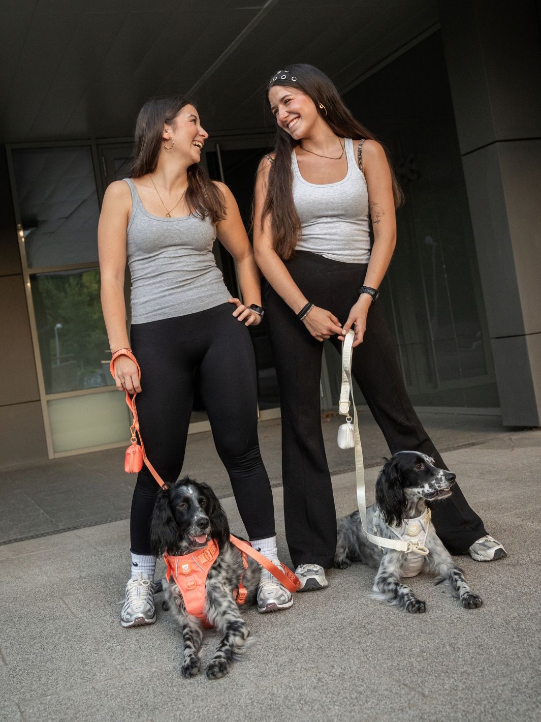 TRAIL DOG HARNESS TERRACOTTA