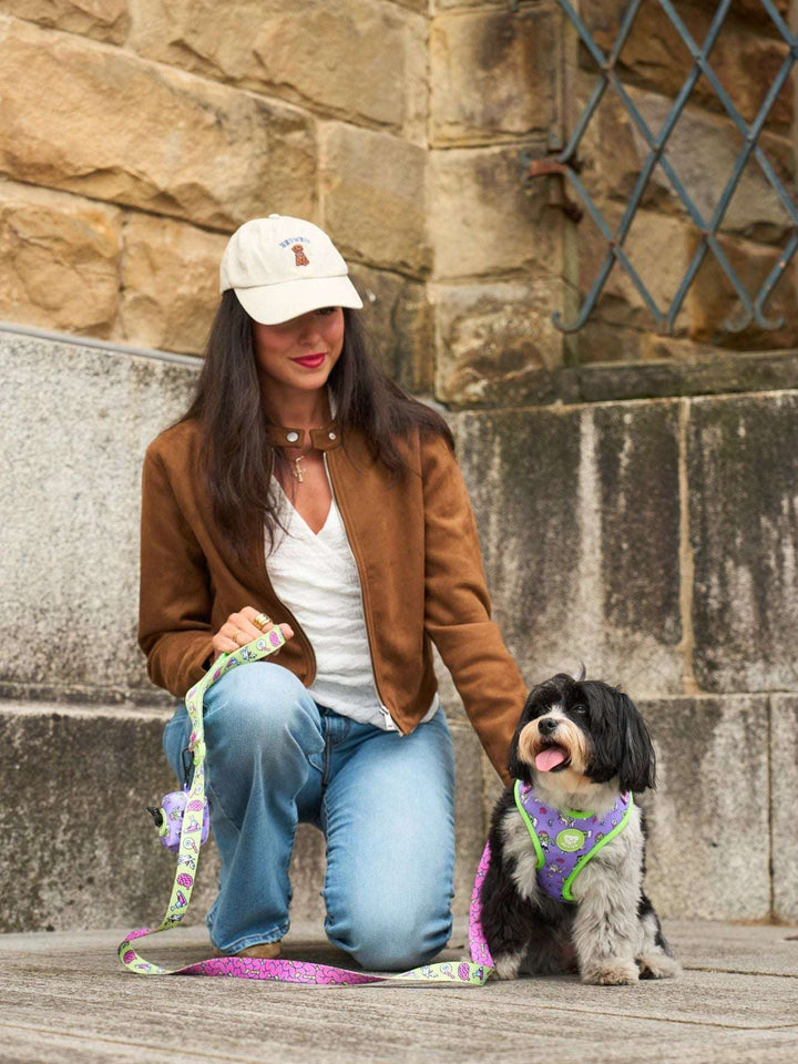 ARNES AJUSTABLE PARA PERRO ZOMBIE