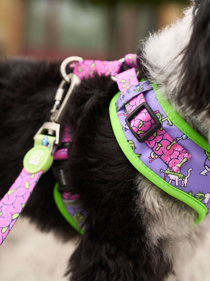 ARNES AJUSTABLE PARA PERRO ZOMBIE