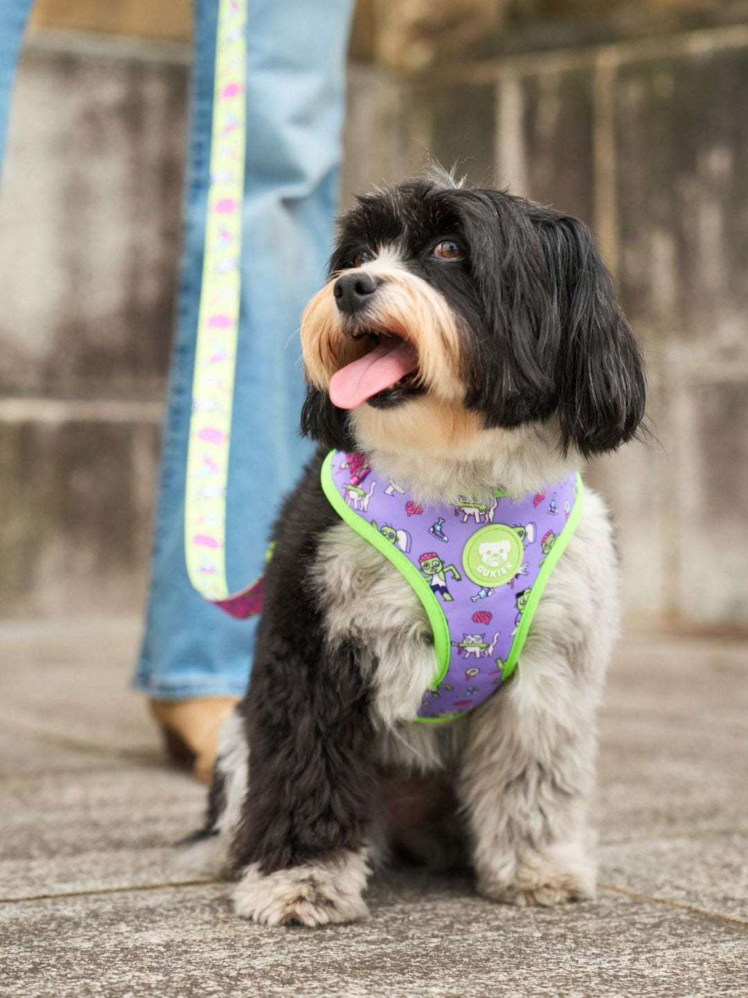 ARNES AJUSTABLE PARA PERRO ZOMBIE