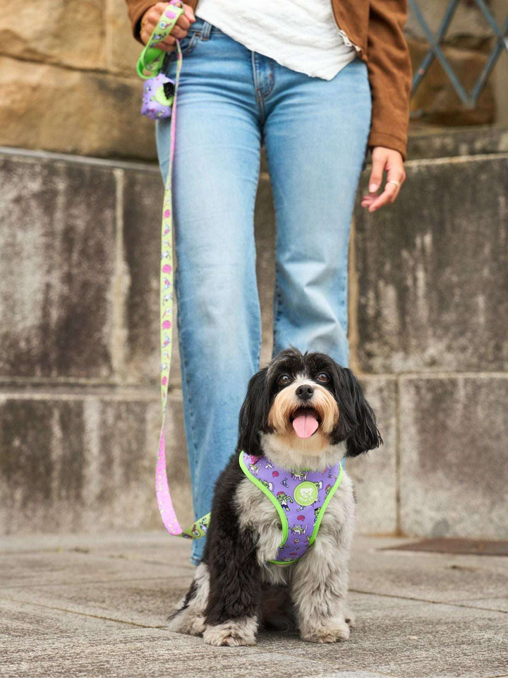 ARNES AJUSTABLE PARA PERRO ZOMBIE