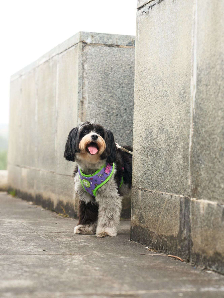 ARNES AJUSTABLE PARA PERRO ZOMBIE