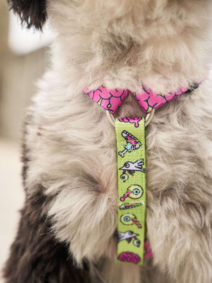 ARNÉS CLÁSICO PARA PERRO ZOMBIE