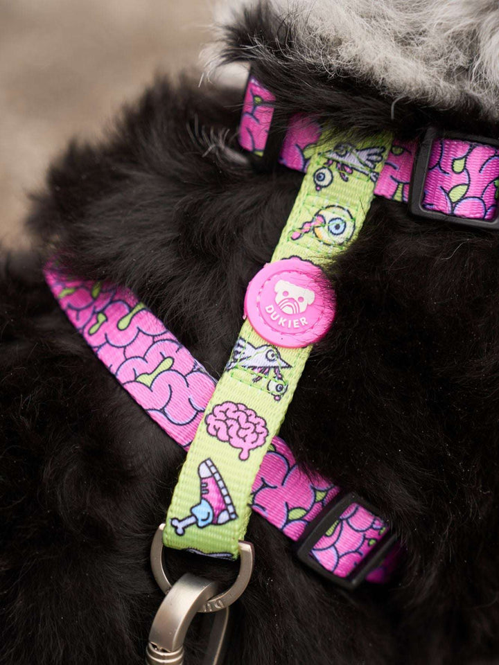 ARNÉS CLÁSICO PARA PERRO ZOMBIE