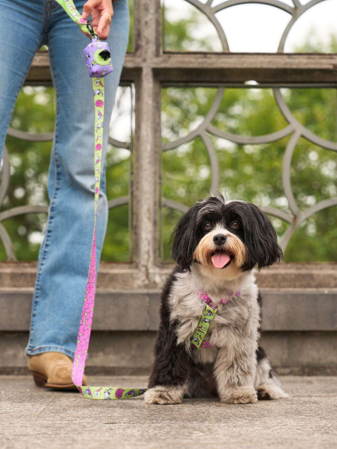 ARNÉS CLÁSICO PARA PERRO ZOMBIE