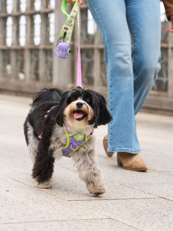 CORREA PARA PERRO ZOMBIE