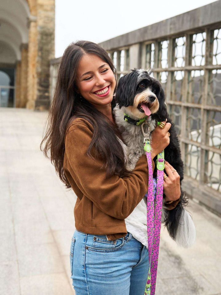 CORREA PARA PERRO ZOMBIE