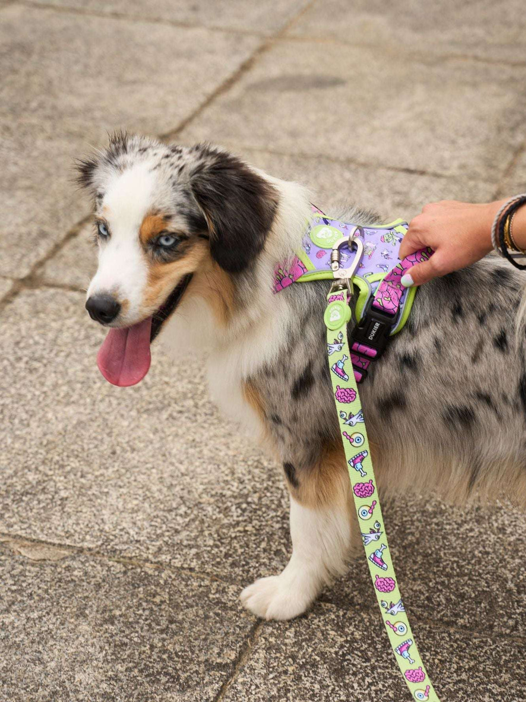 CORREA PARA PERRO ZOMBIE