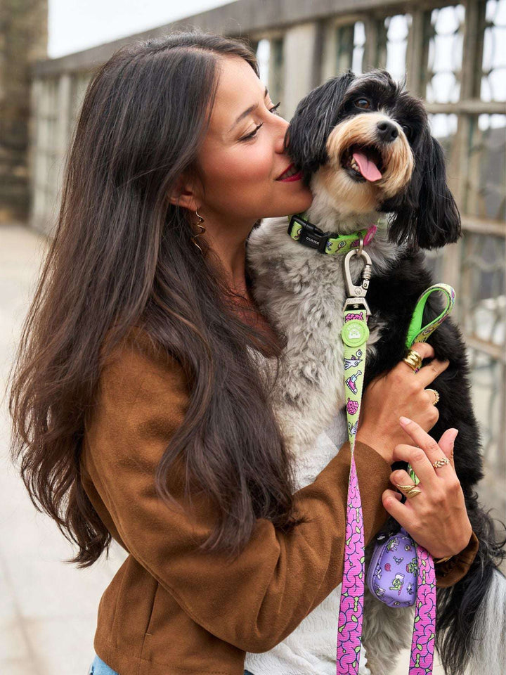 COLLAR PARA PERRO ZOMBIE