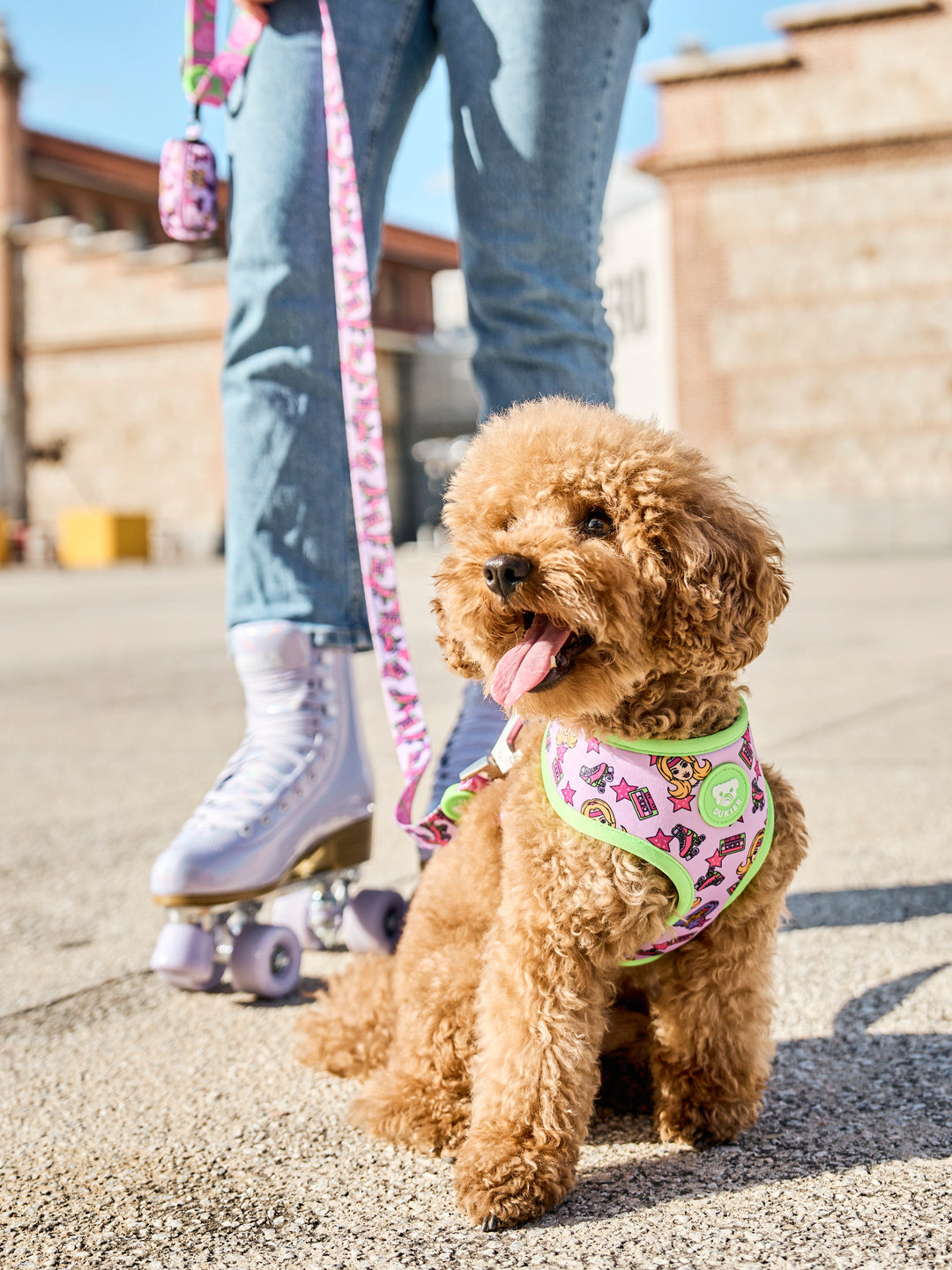 PETTORINA REVERSIBILE PER CANE ROLLER DOLL