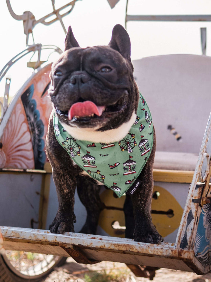 BANDANA CARROUSEL