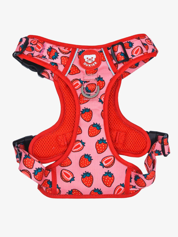 TRAIL  HARNESS BERRY LOVE
