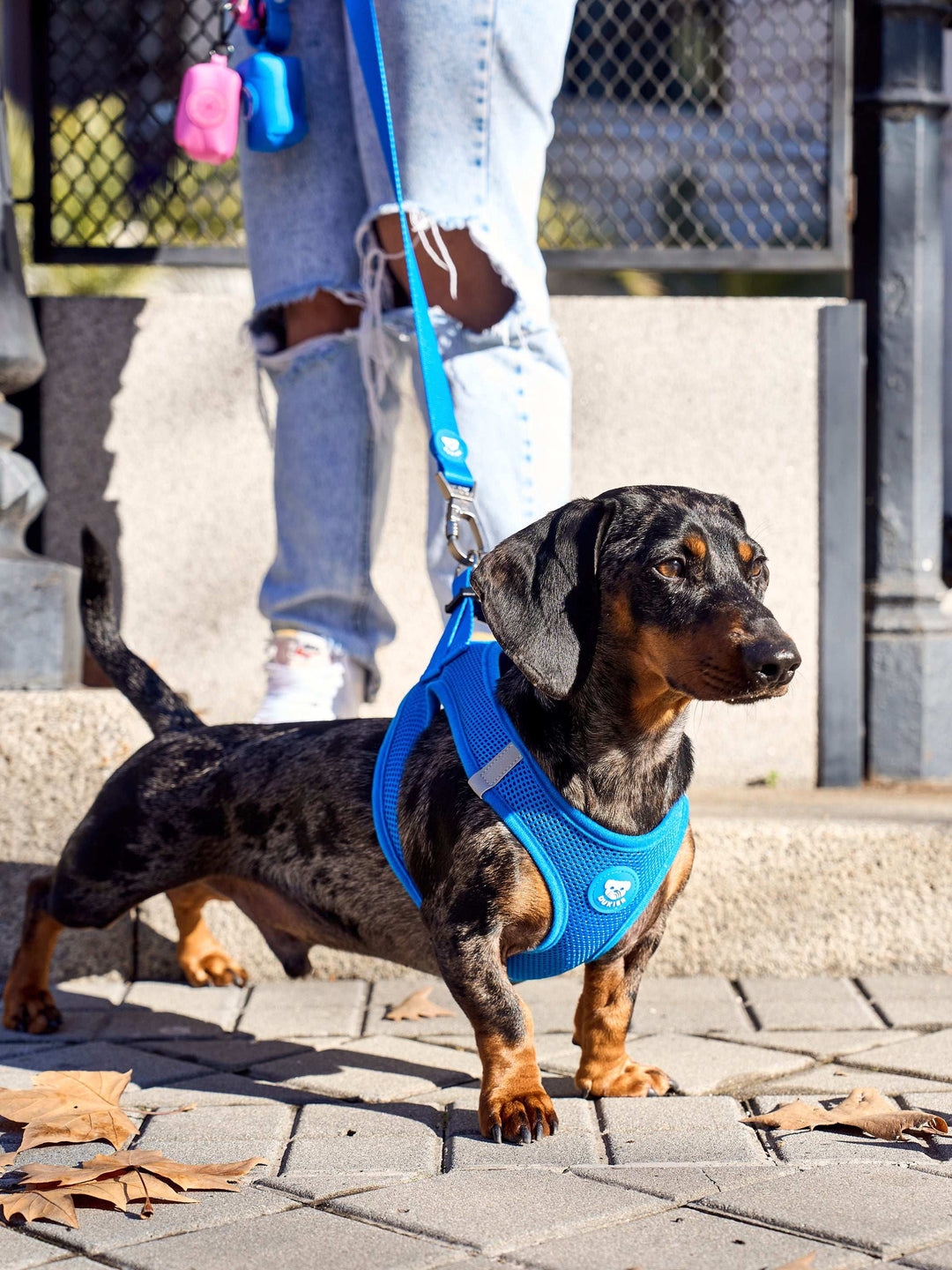 ARNES BODY PARA PERRO BLUE