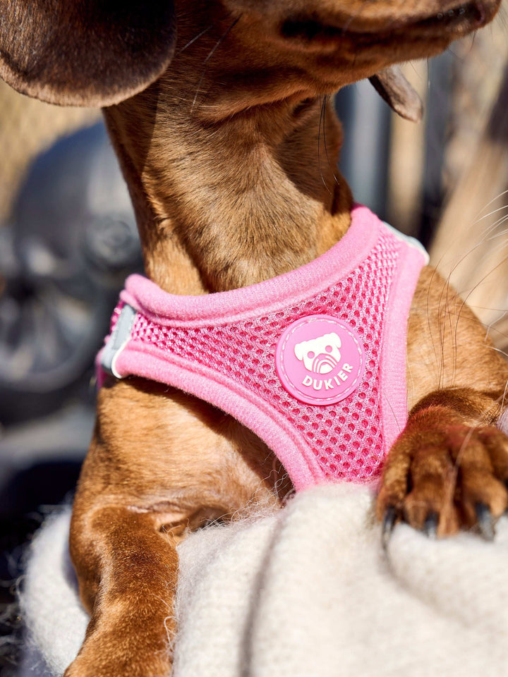 ARNES BODY PARA PERRO PINK