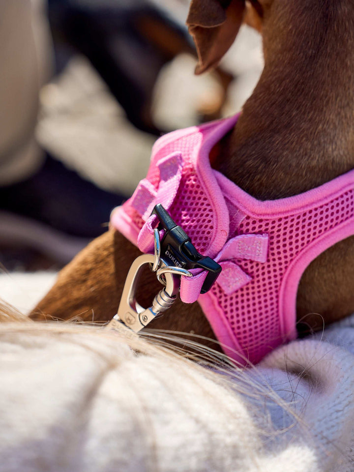 ARNES BODY PARA PERRO PINK