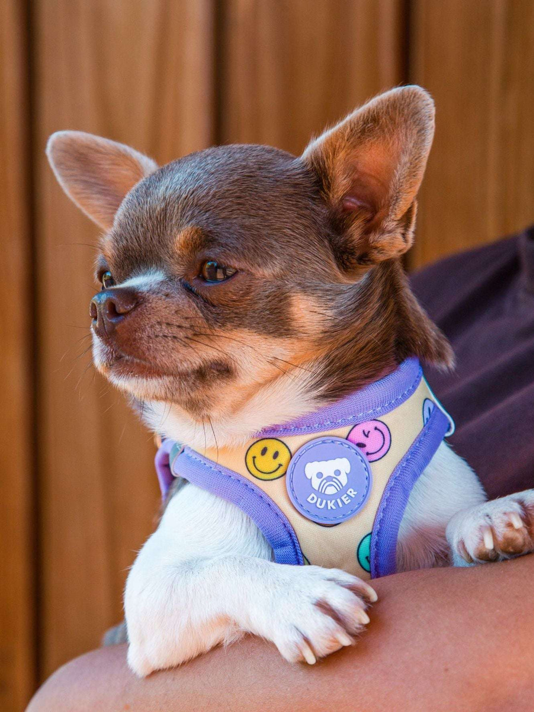 ARNÉS BODY PERRO SMILEY