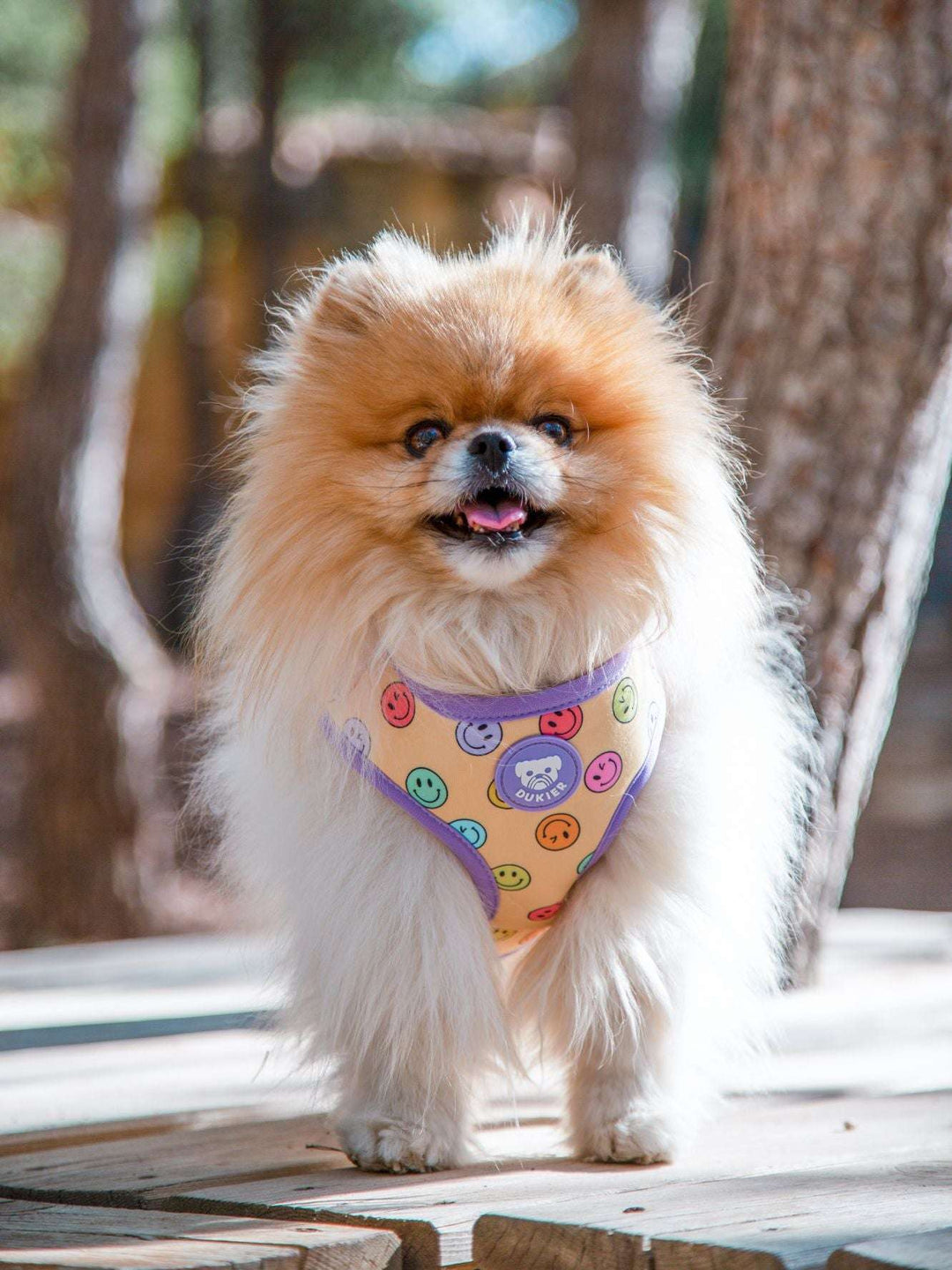 ARNÉS BODY PERRO SMILEY