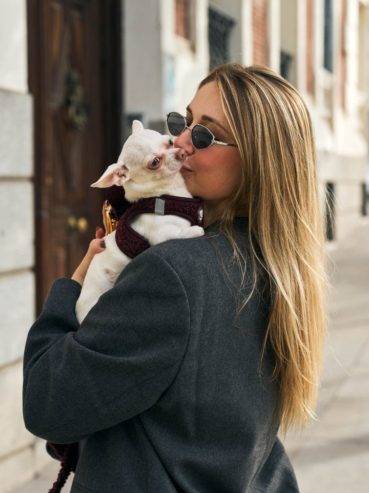 PETTORINA PER CANE BODY TEDDY CHERRY