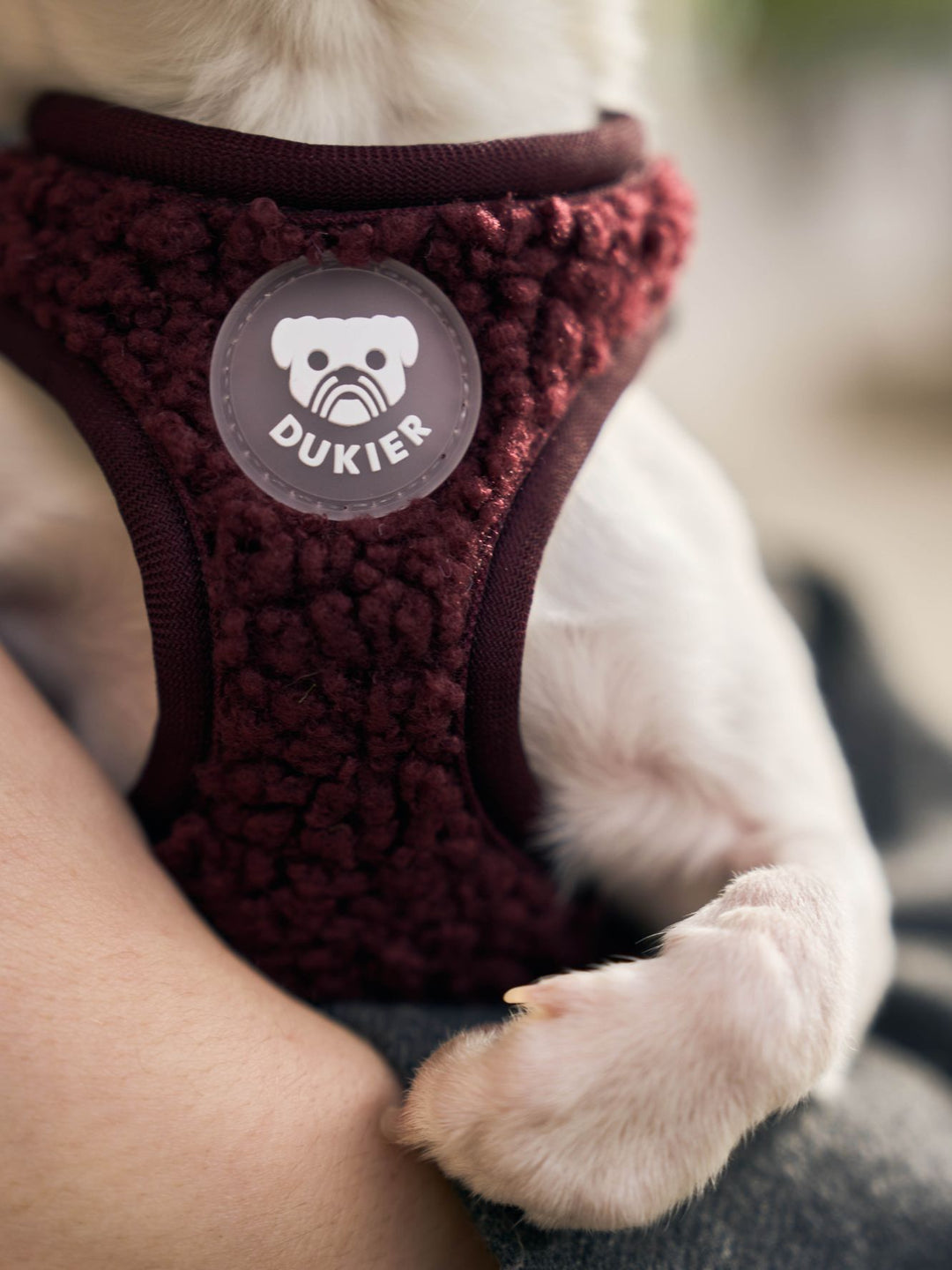 PETTORINA PER CANE BODY TEDDY CHERRY