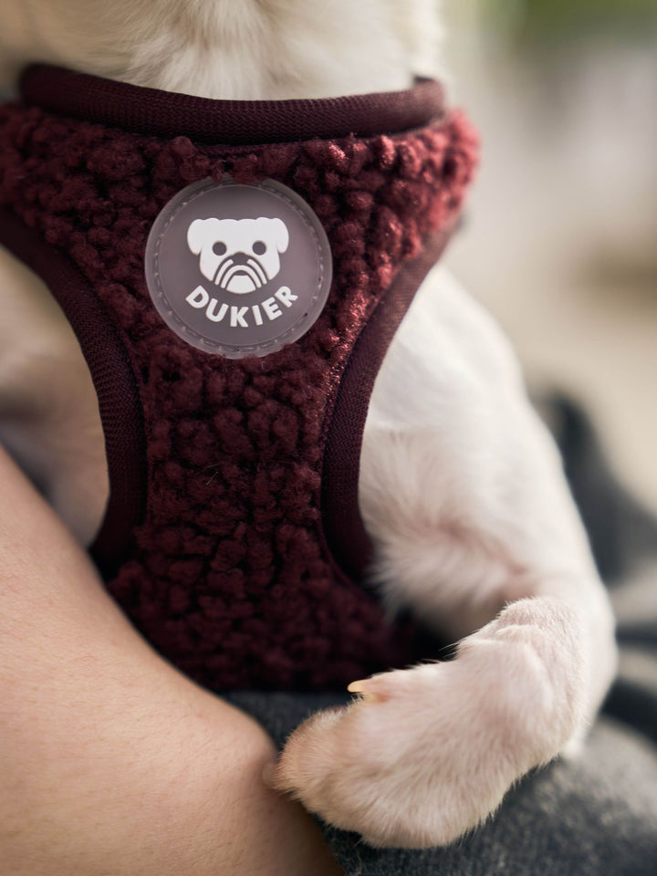 PETTORINA PER CANE BODY TEDDY CHERRY